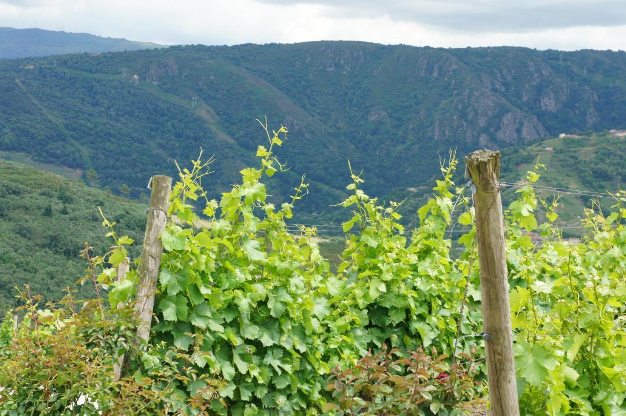 O Forno Casa Ferrador Ribeira Sacra Apartment Sober Екстериор снимка